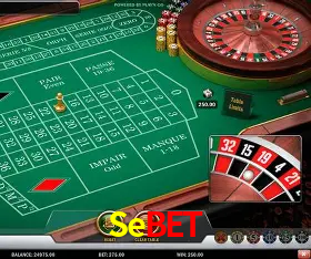 Security Systems Sebet